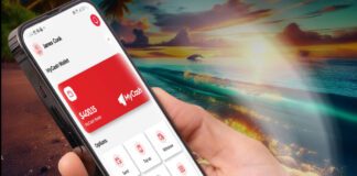 Woman gets 12 months’ probation for stealing $700 in goods from Digicel Tonga