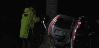 One person dies in single-vehicle crash on Auckland’s North Shore