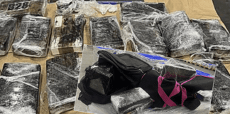 Police uncover $30 million cocaine stash in Auckland business