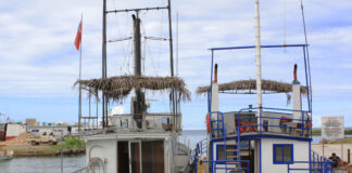 Fāua wharf fish sales allowed under new hygiene rules as Popua port awaited