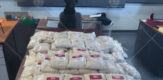 Northern Territory Police seize 121kg of kava and arrest five in East Arnhem Operation