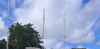 Tonga on high alert as whale season approaches, boat safety in question