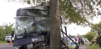 Injuries after bus hits tree in South Auckland