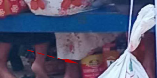 VEITALATALA Is it greed or generosity? The truth behind Tonga’s kai fa‘o