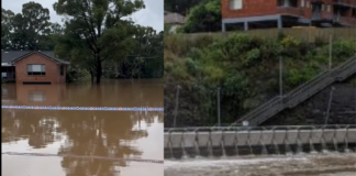 Flood-hit NSW region home to significant Tongan community as death toll rises to four