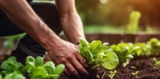 Supporting Sustainable Agriculture for a Resilient Pacific