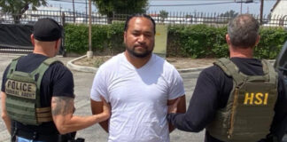 ‘YES or NO’ US poll on deporting felons goes viral after Tongan immigrant’s arrest