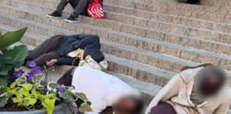 Witness horrified by Zombie Drug victims in NYC, ‘prays crisis doesn’t reach Tonga’