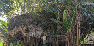 Giant tsunami boulder in Tonga reveals Pacific’s violent history