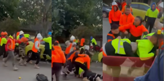 Tongan communities warn of similar incidents after shocking Sydney construction site brawl – all workers fired, police probe underway
