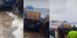 Gale-force winds rip off MV ‘Onemato’s bow door, forcing emergency return to Tongatapu