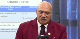 Organised crime suspected after shipping container vanishes in Tonga – Minister points to ‘in-depth corruption’