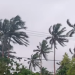 Tropical Cyclone strong wind