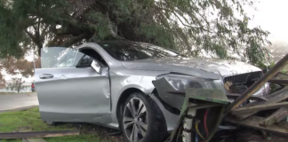 ‘A bit of carnage’: Arrest after alleged Auckland crime spree