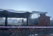 Arson accused found not guilty by reason of insanity after fire razes Catholic church serving Tongan parishioners