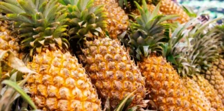 Tonga prepares for pineapple exports to New Zealand after decade-long assessment