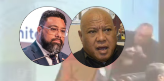 Lord Vaea slams Parliament’s ‘security’ failure as rival supporters clash online over viral brawl video