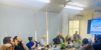 Lulutai Airlines faces crucial safety audit after grounding over maintenance failures