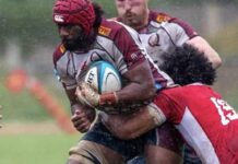 Domestic rugby structure remains under microscope as ‘Ikāle Tahi set to face Queensland Reds