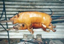 Government schools ban parental contributions amid complaints over Form 2 exams