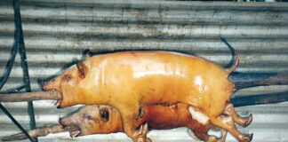 Government schools ban parental contributions amid complaints over Form 2 exams