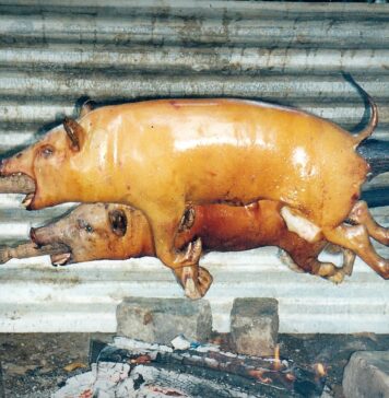 Government schools ban parental contributions amid complaints over Form 2 exams