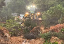 States of emergency declared across 10 districts as heavy rain batters Aotearoa’s North Island