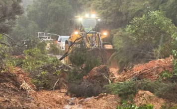 States of emergency declared across 10 districts as heavy rain batters Aotearoa’s North Island