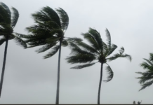 Tongan Diaspora: North Queensland braces as Cyclone Koji nears landfall
