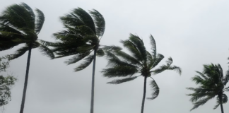 Tongan Diaspora: North Queensland braces as Cyclone Koji nears landfall