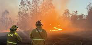 Tongans in Victoria on edge as wildfires rage across central region