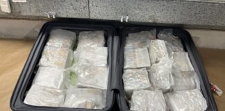 Woman allegedly caught smuggling NZ$5.53m worth of meth at Auckland Airport