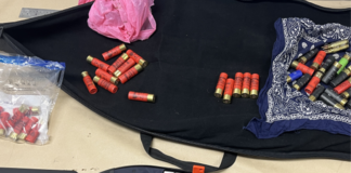 Police make progress in investigation into Onehunga shooting