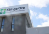 Elderly Tongan tenant wins $5000 after Kāinga Ora failed to act on machete threats
