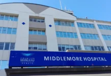 Name suppression lifted for Auckland jailed meth‑ importing nurse Ma’ata Vi