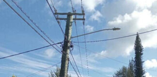 13-year-old boy dies in electrical accident in Holonga