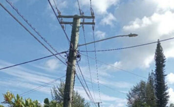 13-year-old boy dies in electrical accident in Holonga