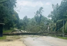 Cyclone Urmil weakens but Tonga remains under multiple weather warnings