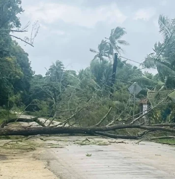 Cyclone Urmil weakens but Tonga remains under multiple weather warnings