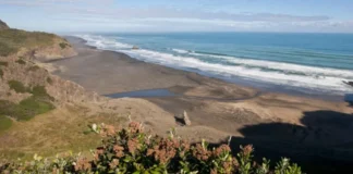 Search underway for fisherman swept off rocks near Piha