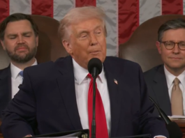 Tonga among nations hit as Trump team accused of ‘largest fraud in U.S. immigration history’