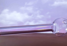 Father of six jailed for cannabis cultivation as court highlights impact on family