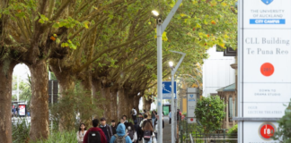 New Zealand to expand work rights for international students