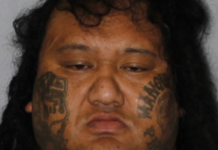 Police warn public not to approach dangerous fugitive as manhunt intensifies in South Auckland