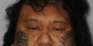 Police warn public not to approach dangerous fugitive as manhunt intensifies in South Auckland
