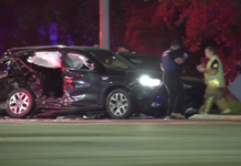 Tributes flow for young Tongan girl killed in Auckland crash