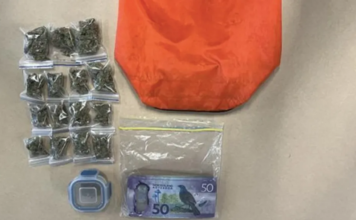 Misplaced bag at Op Shop pickup spot leads to drug seizure and $4510 arrest