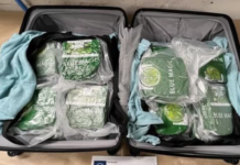 Sixteen arrested over alleged involvement in drug smuggling syndicate