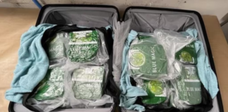Sixteen arrested over alleged involvement in drug smuggling syndicate