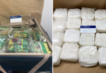 Drug courier jailed for smuggling 20kg of meth through Auckland airport